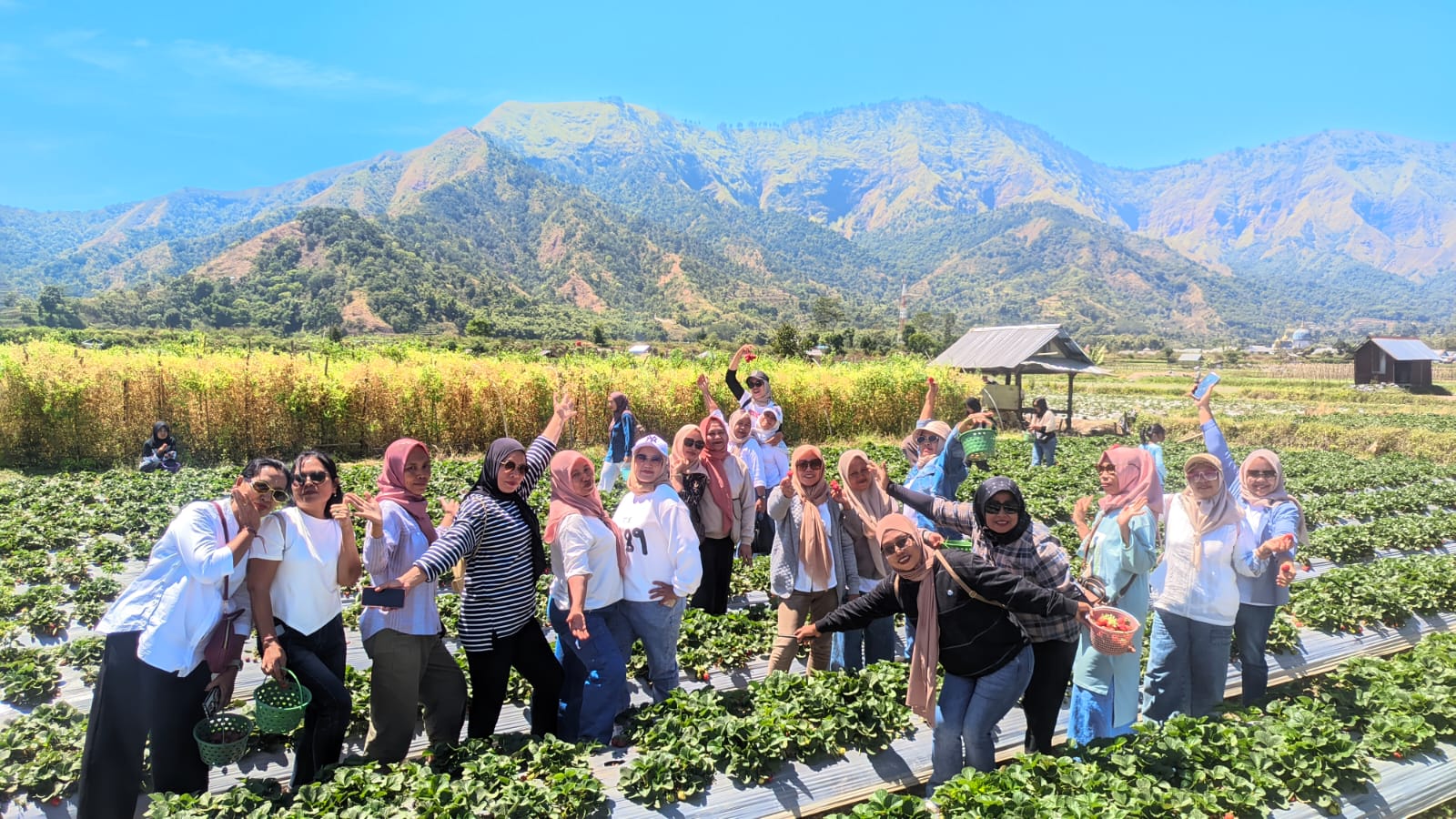 galeri
